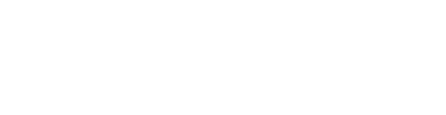 VYRO — Every Connection Matters